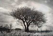 Michael Prince: Manzara ve Sessizlik 25 Michael Prince header