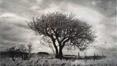 Michael Prince header