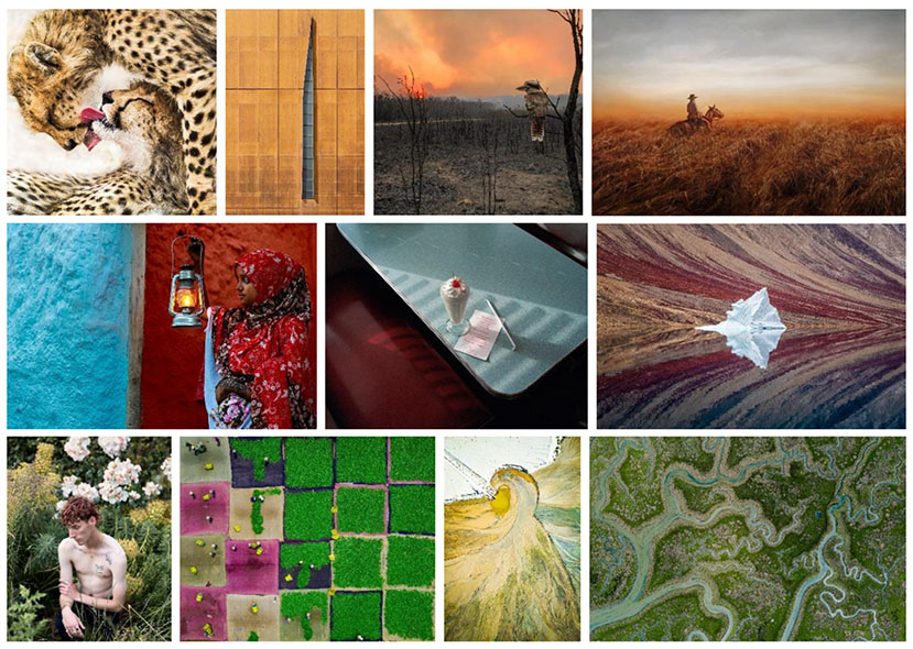Sony World Photography Ödülleri 2020 "Açık Rekabet" Kazananları 2 Sony World Photography Ödülleri 2020 Kazananları