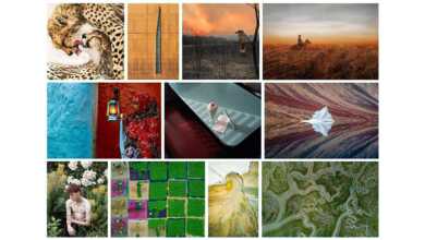 Sony World Photography Ödülleri 2020 "Açık Rekabet" Kazananları 9 Sony Open Competition 2020 header