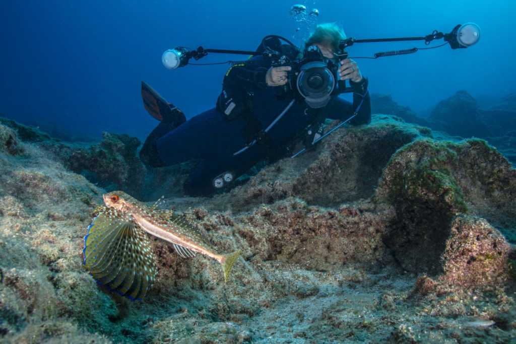 Su Altında Fotoğraf Çekmek 3 Su Altında Fotoğraf Çekmek