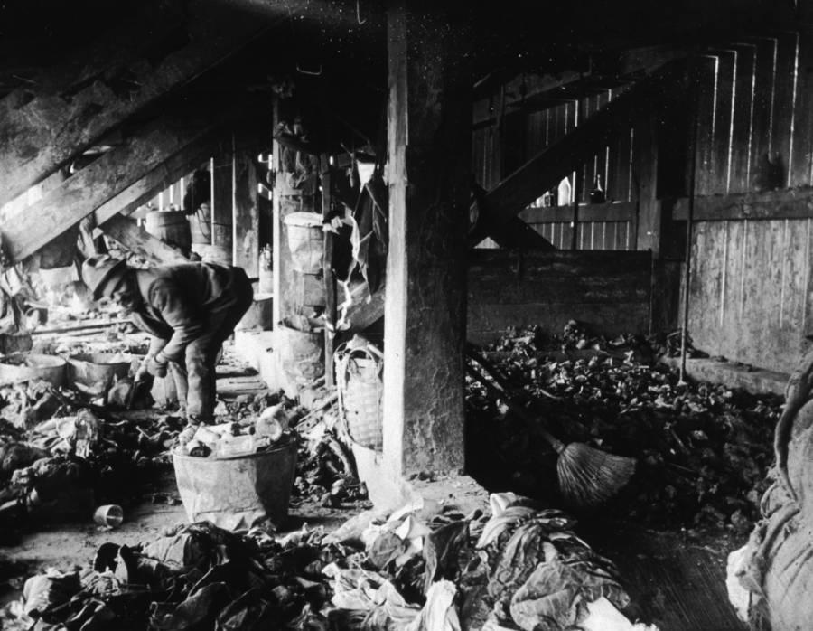 Jacob Riis : How the Other Half Lives 16 man looking through trash