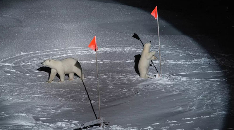 World Press Photo 2020 Kazananları 1 world press photo 2020 header