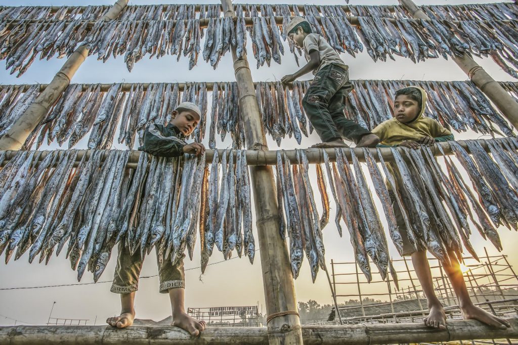 Children drying fish IMG 2 2 991003985114 1