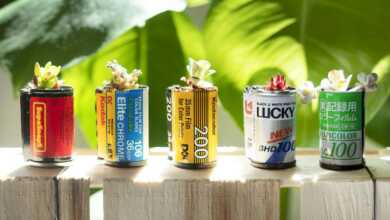 Kullanılmış Film Kutularında Bitki Yetiştirebilirsiniz 1 canistershead header