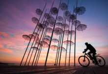 güler ertan yarışma header