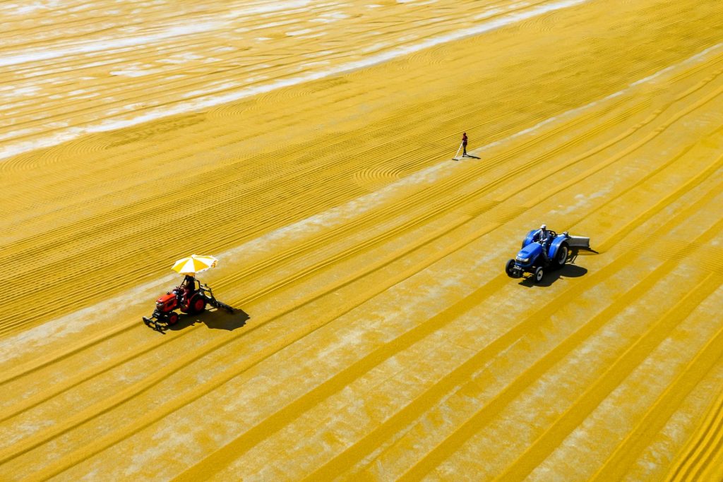 workers who dry bulgur IMG 2 2 58144154530 4