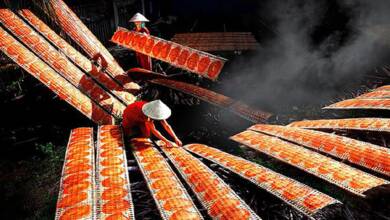 AFAD 7. Uluslararası Fotoğraf Yarışması 7 adana fotograf amatorleri dernegi fotograf yarismasi