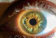 gozler ruhun kapisi 1528685899