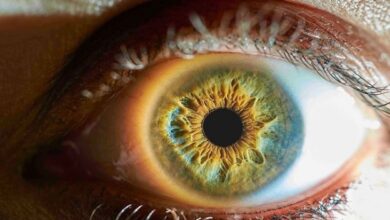 9. Fotoğraf Yarışması "Göz Alabildiğine Suyun Rengi" 3 gozler ruhun kapisi 1528685899