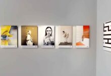 IPA Fotoğraf Yarışması için Son Gün! 73 ipa fotograf yarismasi 696x392 1