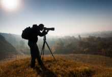 CANYTELLIS, 2.Uluslararası Fotoğraf Yarışması 4 nature photographer PLD3ZM9 696x464 1