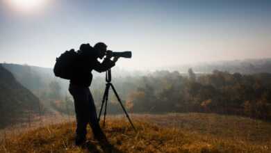 CANYTELLIS, 2.Uluslararası Fotoğraf Yarışması 5 nature photographer PLD3ZM9 696x464 1