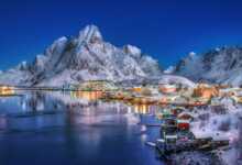Sony World Photography Award Yarışması 2020 2 sony fotograf yarismasi 696x392 1