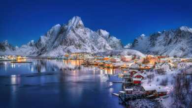 Sony World Photography Award Yarışması 2020 10 sony fotograf yarismasi 696x392 1