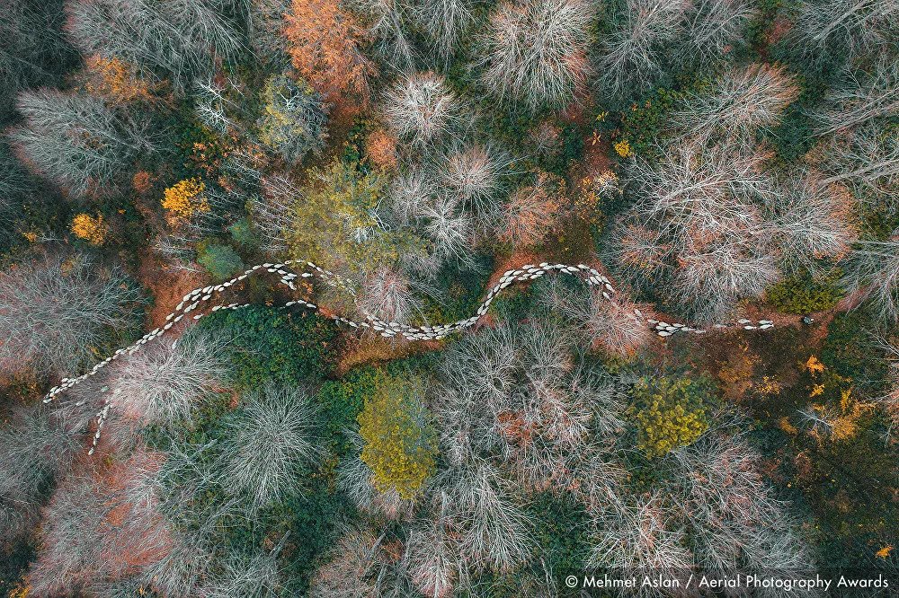 Aerial Photography Awards 2020 10 ae2952fe3653
