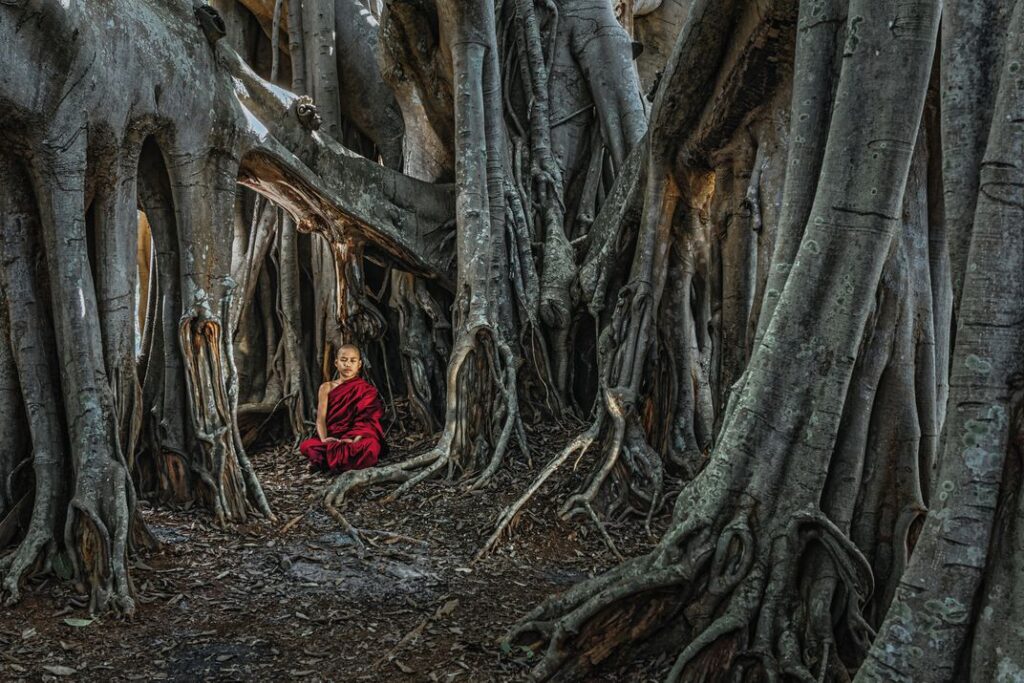 SmithSonian Magazine Fotoğraf Yarışması