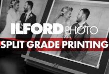 ilford bw header