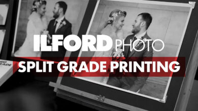 Karanlık Oda Videoları ile Baskı Teknikleri… 4 ilford bw header