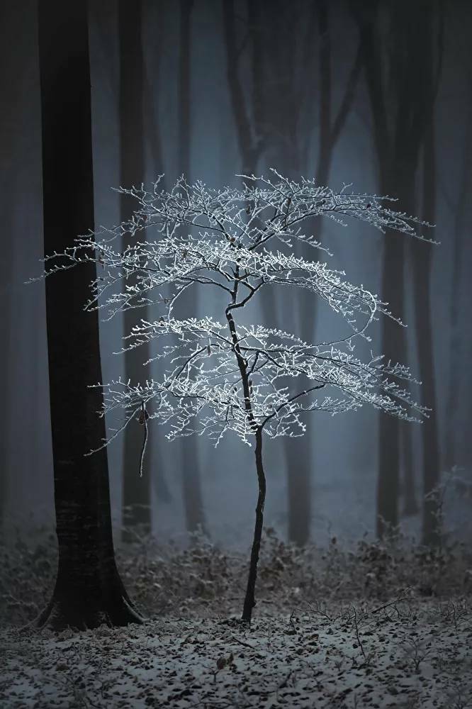 International Photography Awards (IPA) 2020 12 1043117994 0 0 2000