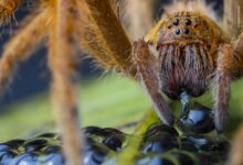 3efa8382 8811 4da1 9927 571699a83cfd