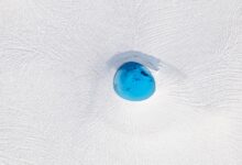 2020 Siena International Photo Awards 19 FldpKJ6CREsHmQ715haGLo9XOe6JXpJy