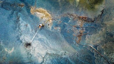 Annual Photography Awards 2020 5 annual photography awards header