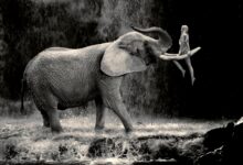 ND Awards 2020 18 nd awards 2020 header