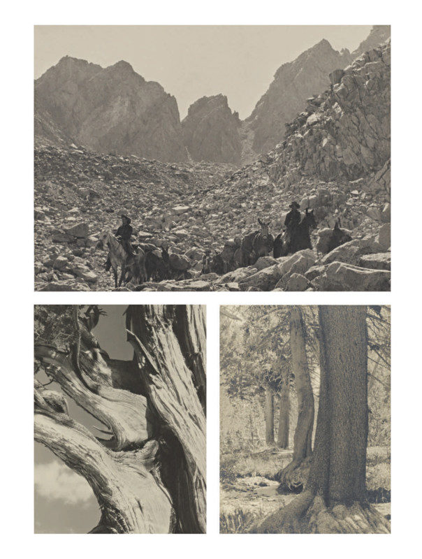 İkonik Ansel Adams Fotoğrafını Rekor Kırmak İçin Satıyor 988.000 Dolar 8 10542 Lot 47 Ansel Adams The Sierra Club Outing 604x800 1