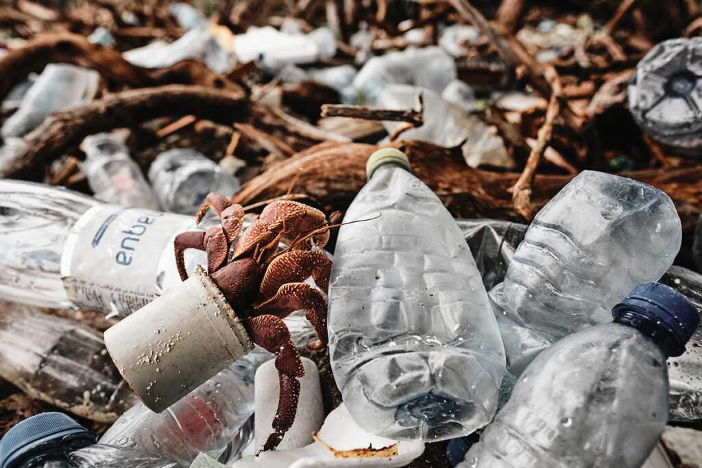 2020 Ocean Photographer of the Year Awards 6 1st Matthew Sharp c