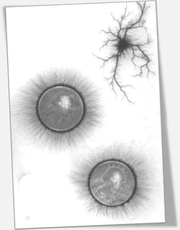 Kirlian Fotoğrafçılığı: Kendi Ekipmanınızı Oluşturmak 7 BlackAndWhiteKirlian