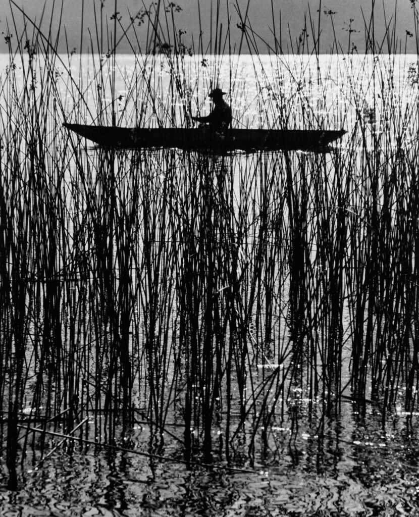 MOY 0115 Canoa Print