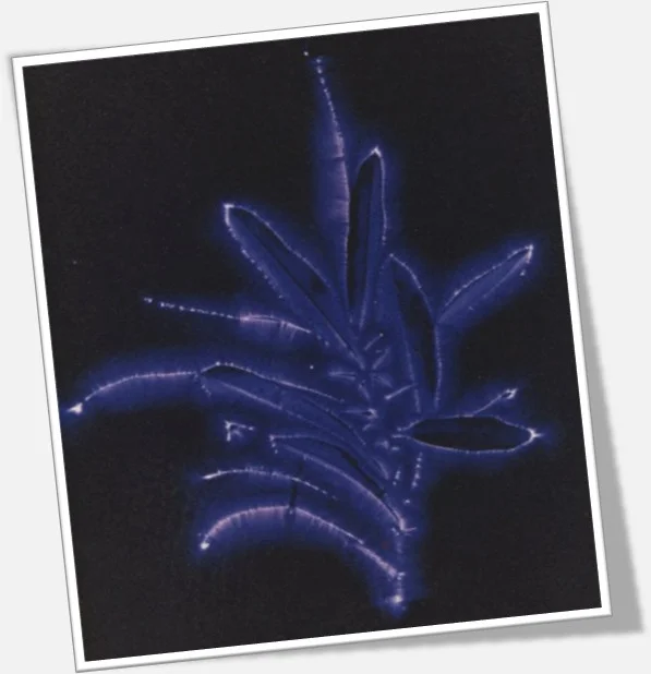 Kirlian Fotoğrafçılığı: Kendi Ekipmanınızı Oluşturmak 6 SampleKirlianPhoto