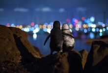 2020 Ocean Photographer of the Year Awards 17 WINNER Tobias Baumgaertner