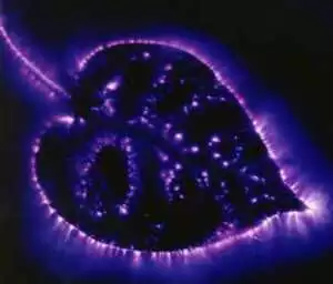 Kirlian Fotoğrafçılığı: Kendi Ekipmanınızı Oluşturmak 38 articles map0002 aura photography