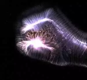 Kirlian Fotoğrafçılığı: Kendi Ekipmanınızı Oluşturmak 39 depositphotos 299881268 stock photo illustration glowing human female hand