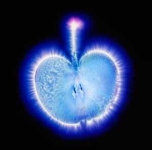 doorofperception.com kirlian photography 4