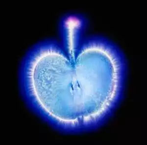 Kirlian Fotoğrafçılığı: Kendi Ekipmanınızı Oluşturmak 41 doorofperception.com kirlian photography 4