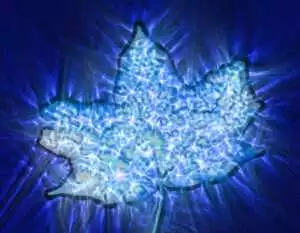 Kirlian Fotoğrafçılığı: Kendi Ekipmanınızı Oluşturmak 43 istockphoto 1264533612 612x612 1