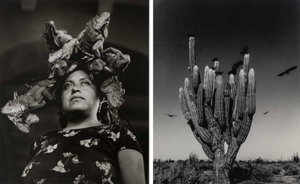 Graciela Iturbide : Fotoğraf makinesi dünyayı tanımak için bir bahanedir.