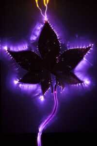 kirlian photography leaf