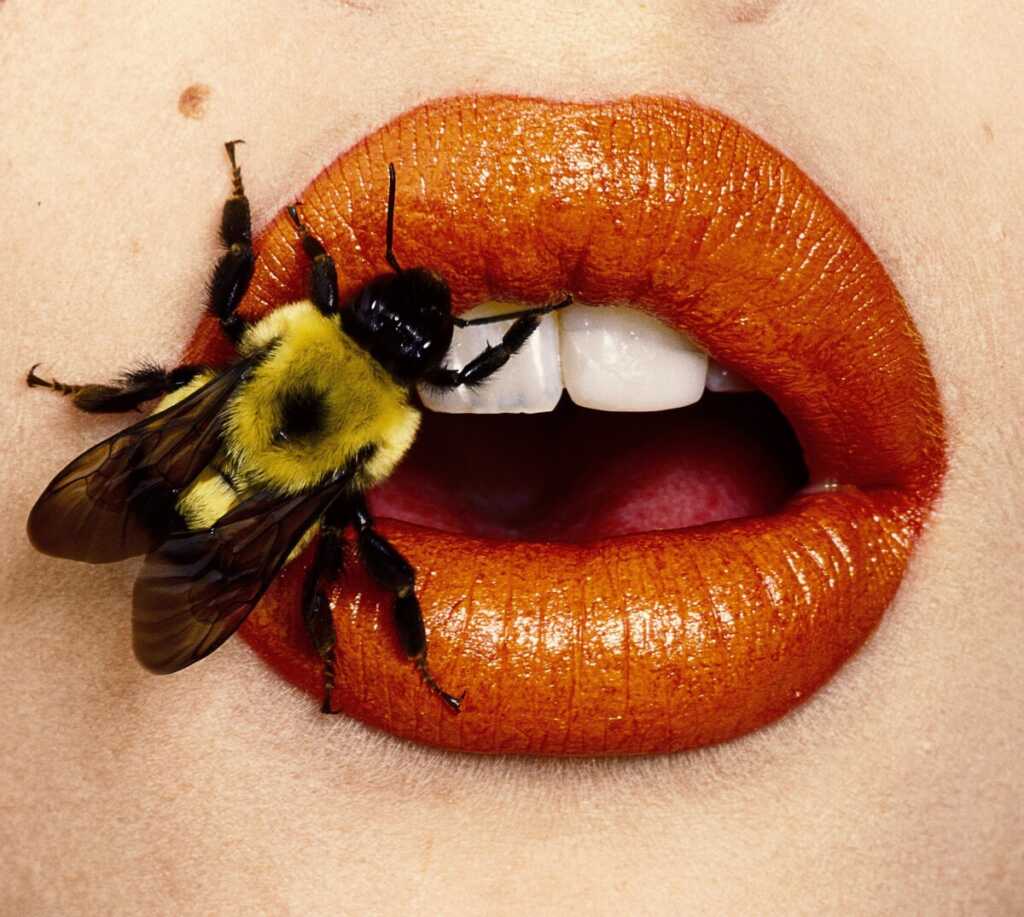 Irving Penn : Devrimci Moda Fotoğrafçılığı 3 404364