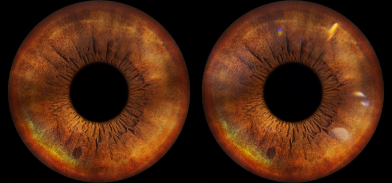 Kendi Gözünüzü Nasıl Fotoğraflayabilirsiniz? 11 EyeFlat vs Catchlight 800x373 1
