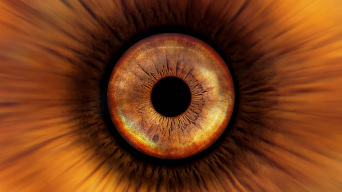Kendi Gözünüzü Nasıl Fotoğraflayabilirsiniz? 1 How to Photograph Your Own Eye