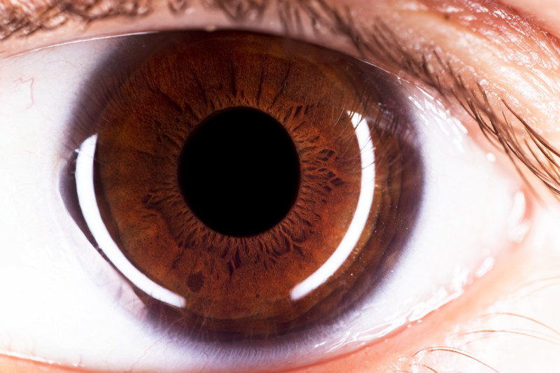 Kendi Gözünüzü Nasıl Fotoğraflayabilirsiniz? 5 IMG 8166 800x533 1