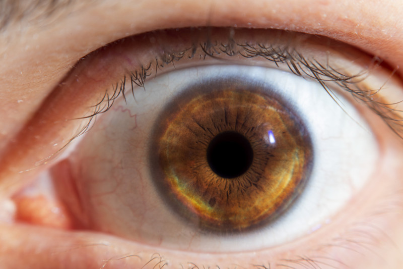 Kendi Gözünüzü Nasıl Fotoğraflayabilirsiniz? 9 IMG 9303 800x533 1