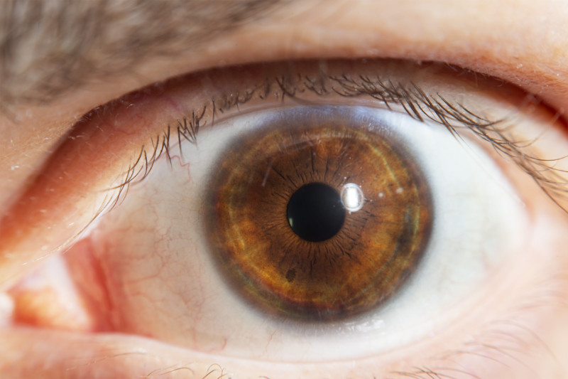 Kendi Gözünüzü Nasıl Fotoğraflayabilirsiniz? 8 IMG 9357 800x533 1