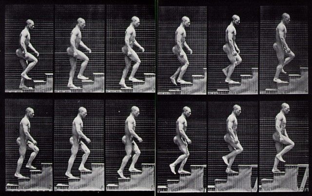 Muybridge2