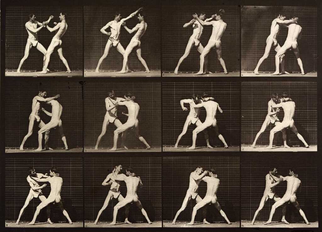 Muybridge3