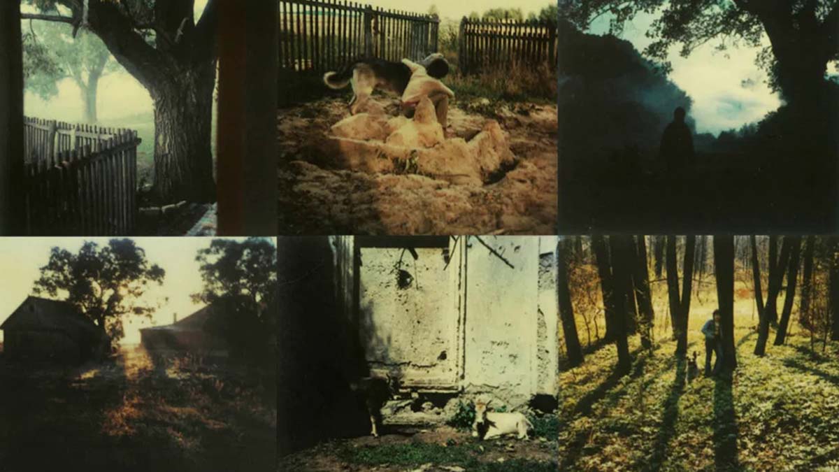Andrey Tarkovski’nin Polaroid Fotoğrafları 1 andrey tarkovski feat